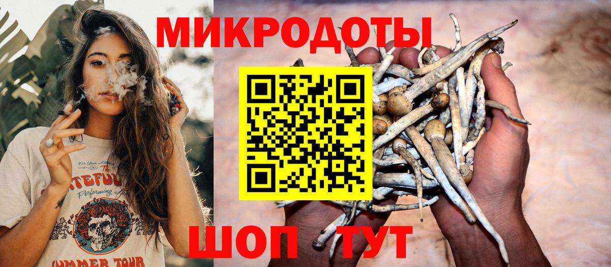 Псилоцибиновые грибы Psilocybine cubensis  Вход с VPN  Донской  Галлюциногенные грибы MAGIC MUSHROOMS 