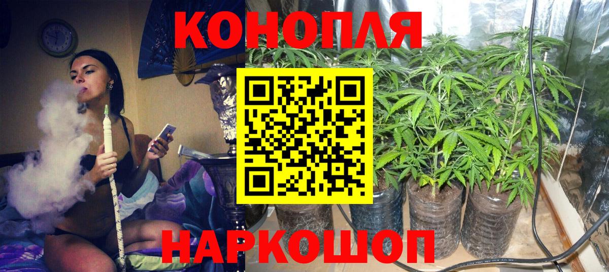 Шишки марихуана OG Kush  Вход с VPN  Шишки марихуана план  Донской 